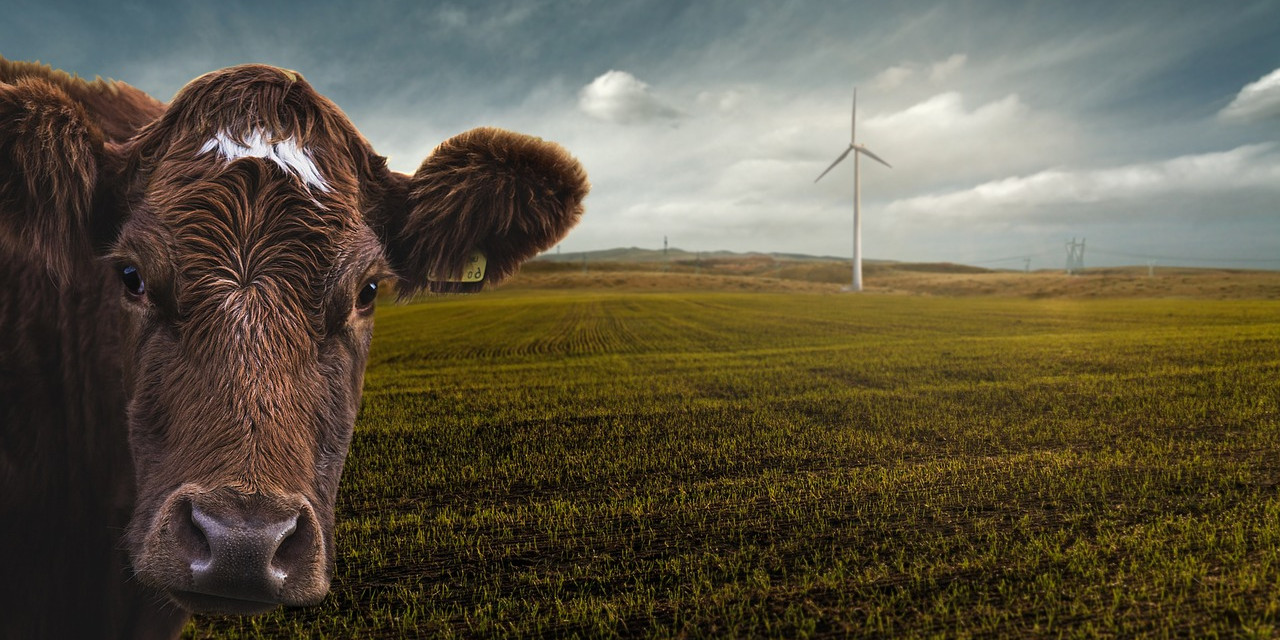 Jan Mrkvička: Klimatické desatero umírněného jednotlivce ve středním věku