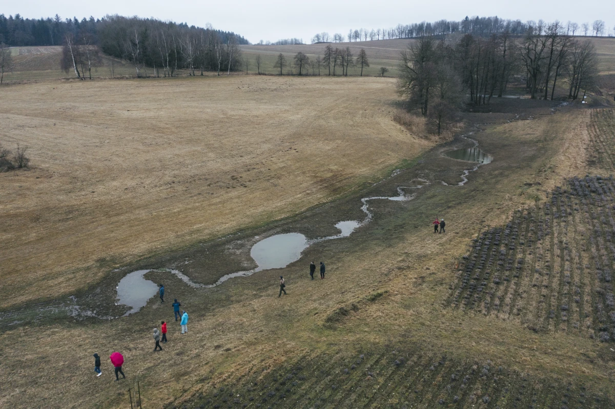 Revitalizace koryta potoku, obnovení rybníčku, vytvoření jedenácti tůní, protierozní meze a zatravněné údolnice v zemědělsky obhospodařovaném území. V Hartmanicích zadrží díky opatřením vodu v krajině ve větším množství a po delší dobu, sníží erozi a zajistí útočiště pro obojživelníky.