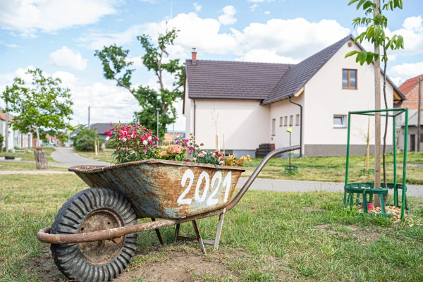 I čtyři roky po tornádu zůstáváme na Moravě v terénu. Pomáháme místním s obnovou přírody a se zmírňováním dopadů klimatické změny