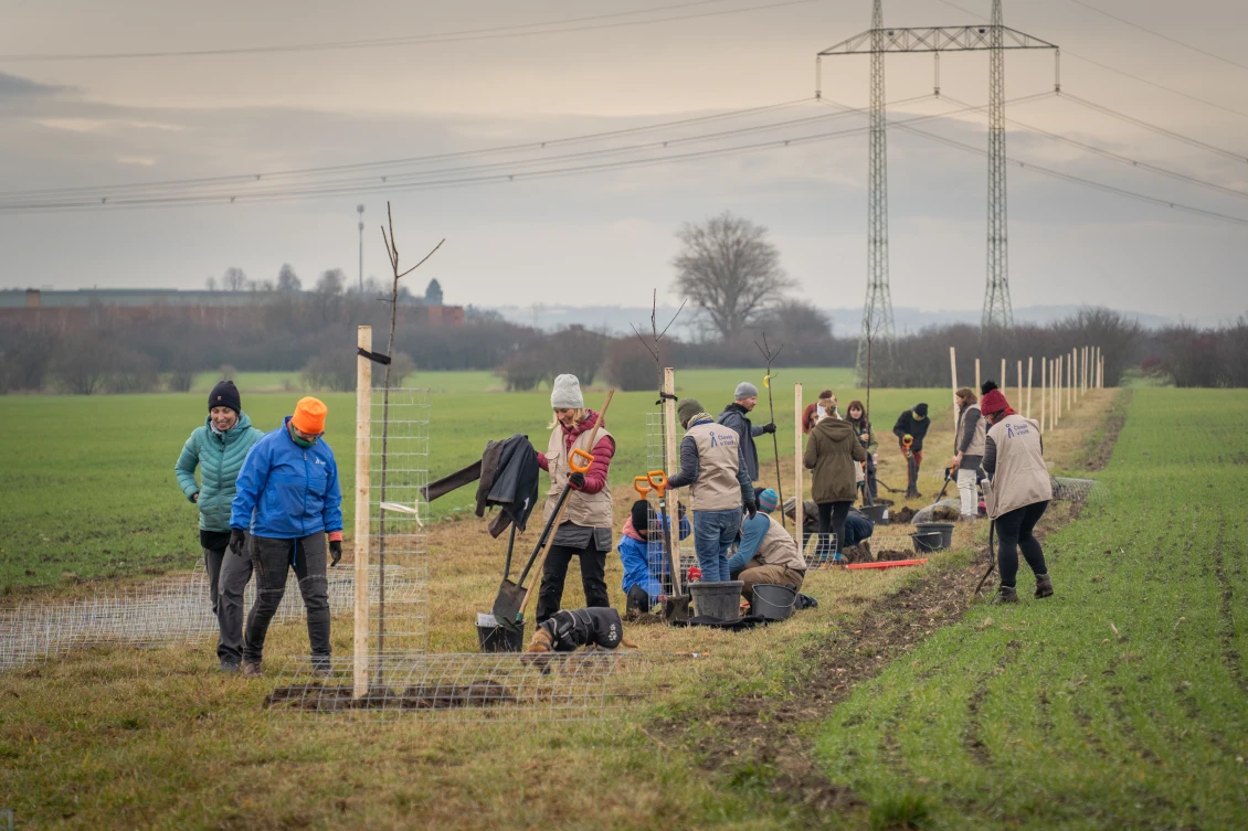 A group from PIN planted a beautiful avenue leading towards Eleonorov.