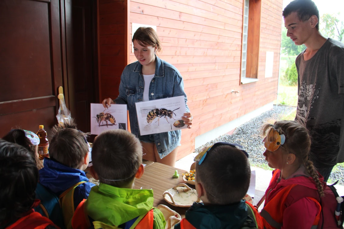 Active young people are a very important part of the environmental movement.