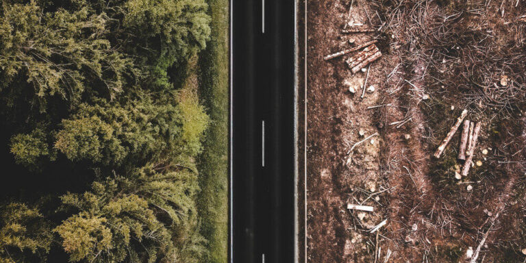 Surging towards Decline: GDP Growth and the Collapse of our Greatest Asset - our Ecosystems