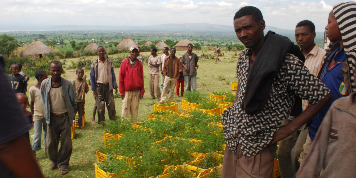 Jan Svitálek for Ekolist: Czech trees and puddles in Ethiopia
