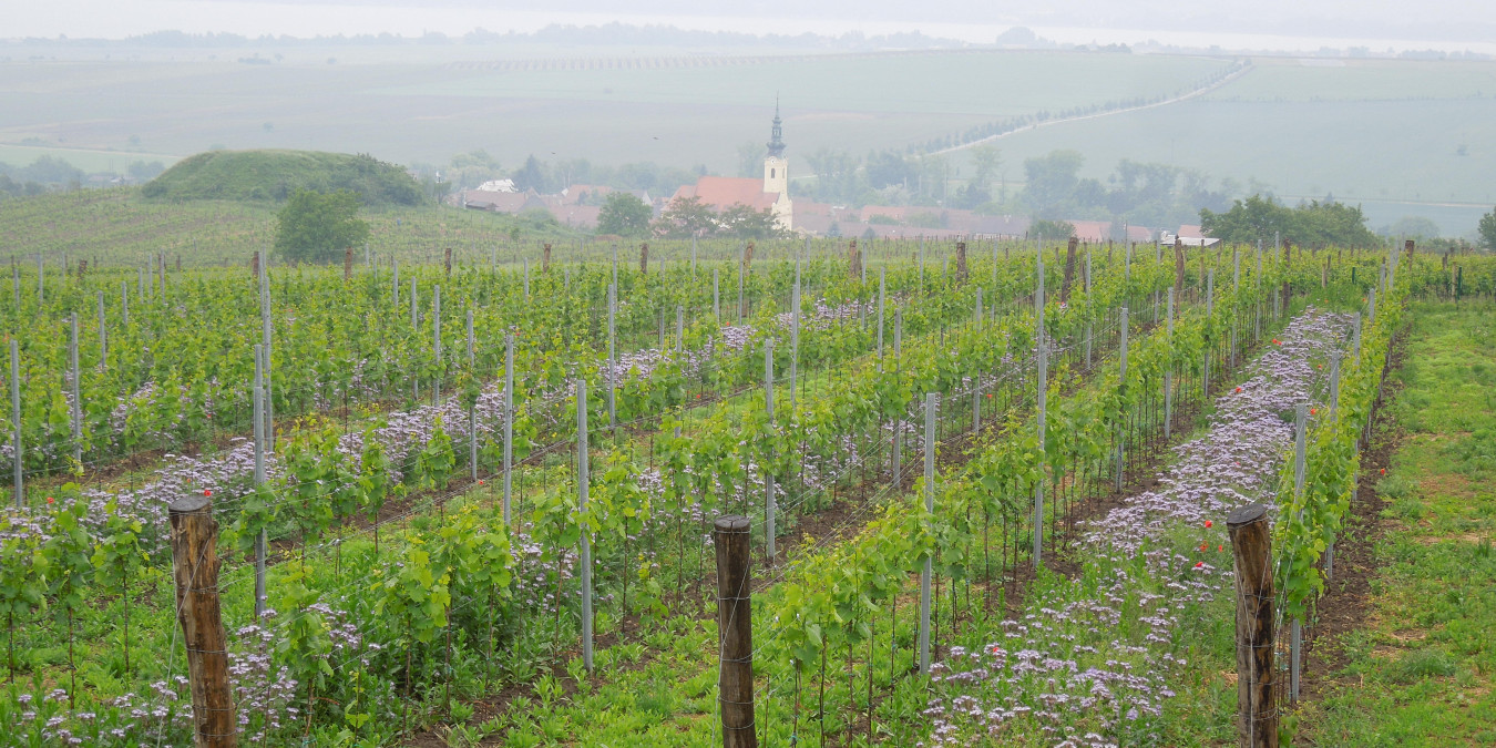 Who will heal our forests and fields? Smart farmers, that's who! 