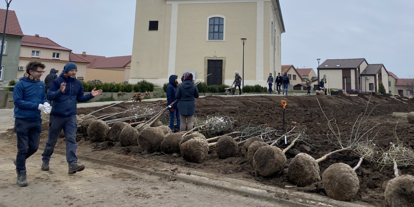 Srdce Moravské Nové Vsi se zase zazelená. U kostela jsme vysadili alej i park
