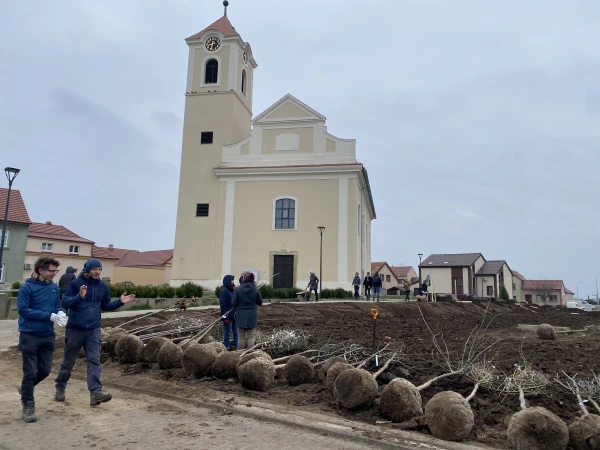 Srdce Moravské Nové Vsi se zase zazelená. U kostela jsme vysadili alej i park 