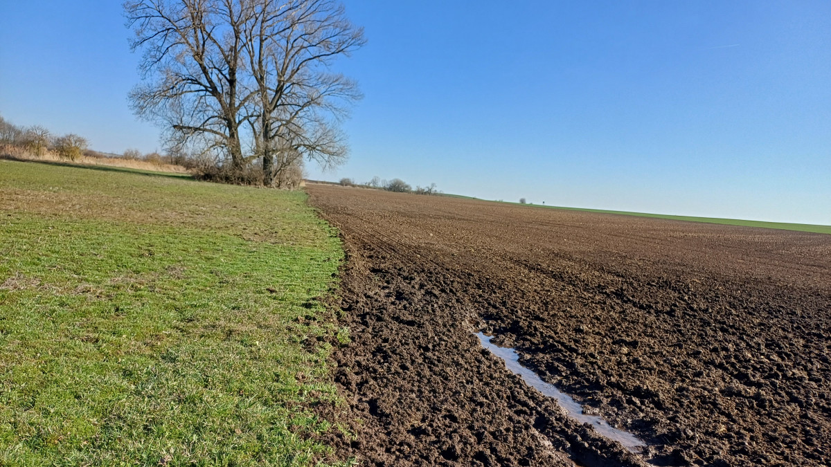 Vysychající Velvarsko: Odvodňování už nepomáhá. Pojďme tvořit tůně!