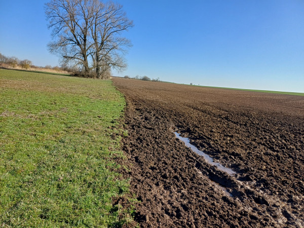 Vysychající Velvarsko: Odvodňování už nepomáhá. Pojďme tvořit tůně!