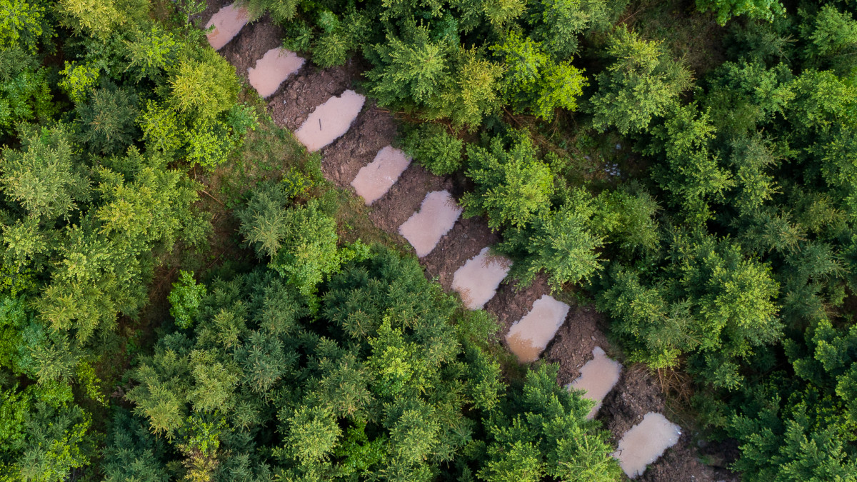 Zveme Vás na exkurzi do lesů Jizerských hor. Uvidíte, jak inovativně tam nakládají s vodou