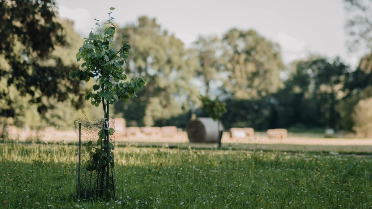 Tereza Davidová: Adaptace na klimatickou změnu má několik úrovní. Orientace není složitá