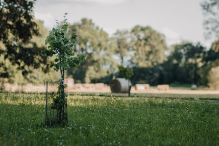 Tereza Davidová: Adaptace na klimatickou změnu má několik úrovní. Orientace není složitá
