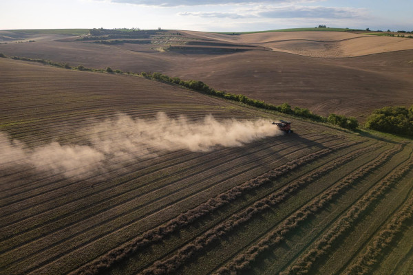 Zemědělci se už nemusí bát krajinných prvků. Podmínky se zlepšují