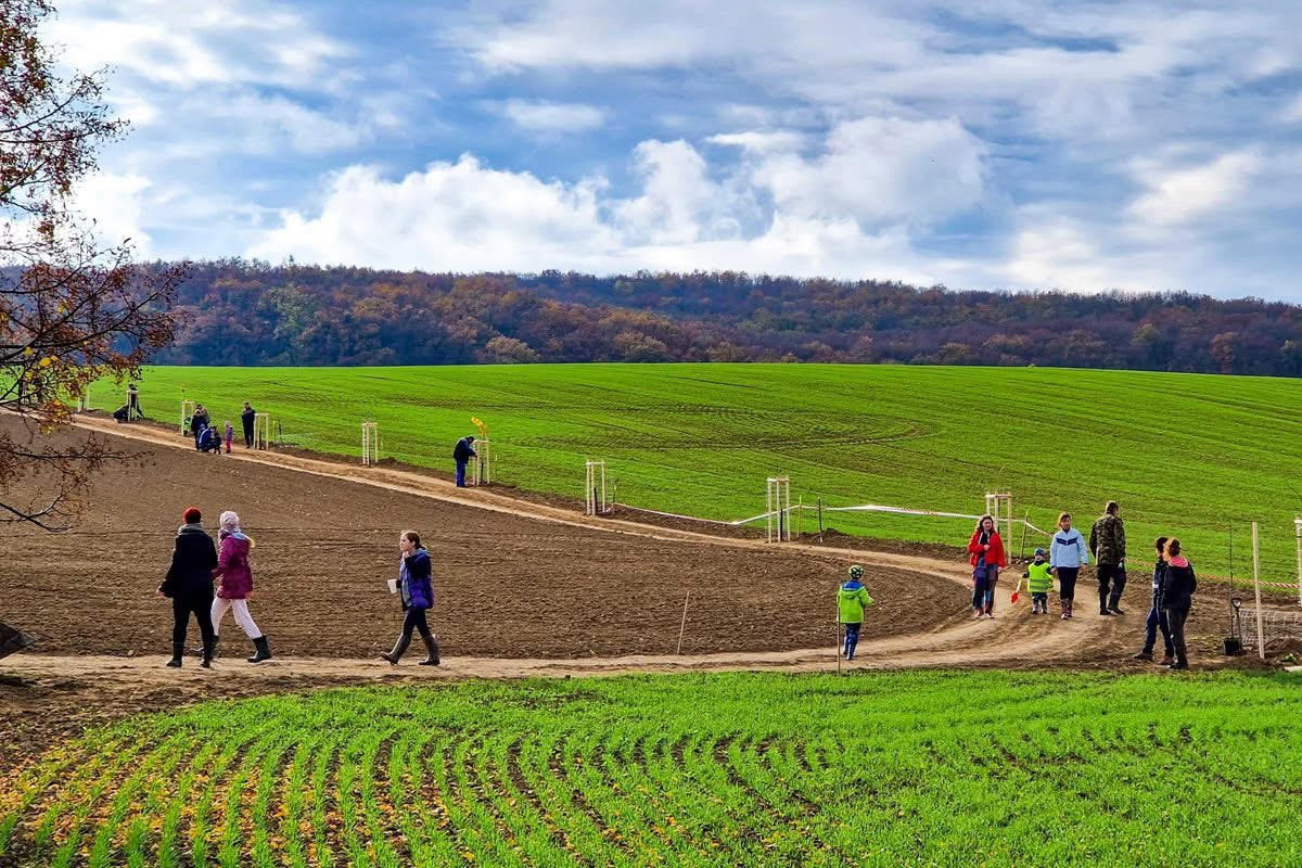Martin Smetana: Zlepšeme pachtovní smlouvy, zlepšíme tak i krajinu
