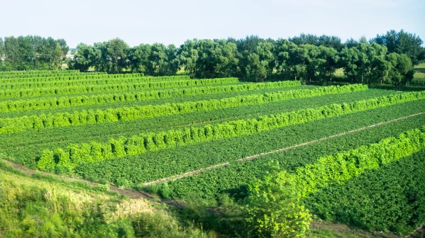 Přijďte na seminář o půdě, vodě a krajině na UJEP
