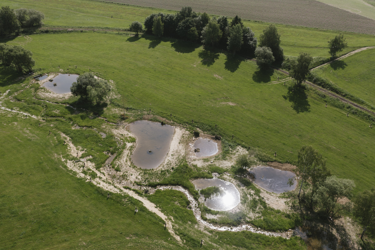 Krajinné prvky jako nástroj udržitelného zemědělství: Co potřebujeme změnit, aby fungovaly v praxi