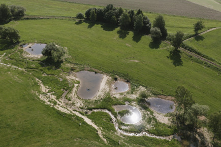 Krajinné prvky jako nástroj udržitelného zemědělství: Co potřebujeme změnit, aby fungovaly v praxi 