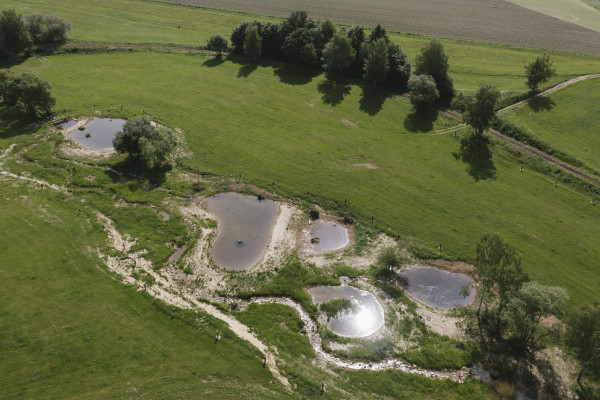 Krajinné prvky jako nástroj udržitelného zemědělství: Co potřebujeme změnit, aby fungovaly v praxi 