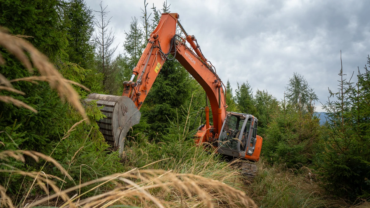 Why is water returning to the Beskydy forests? We went to find out