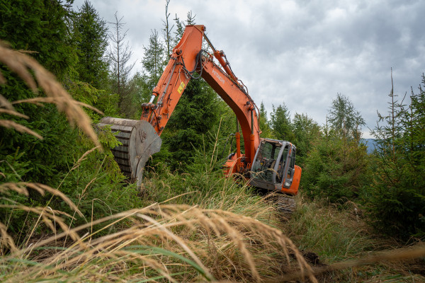 Why is water returning to the Beskydy forests? We went to find out