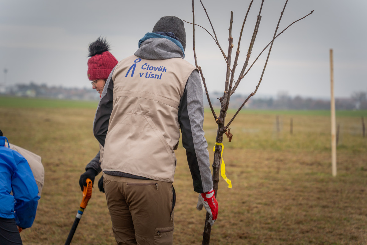 Jak oslavit Den Země? Péčí o krajinu a z(Z)emi