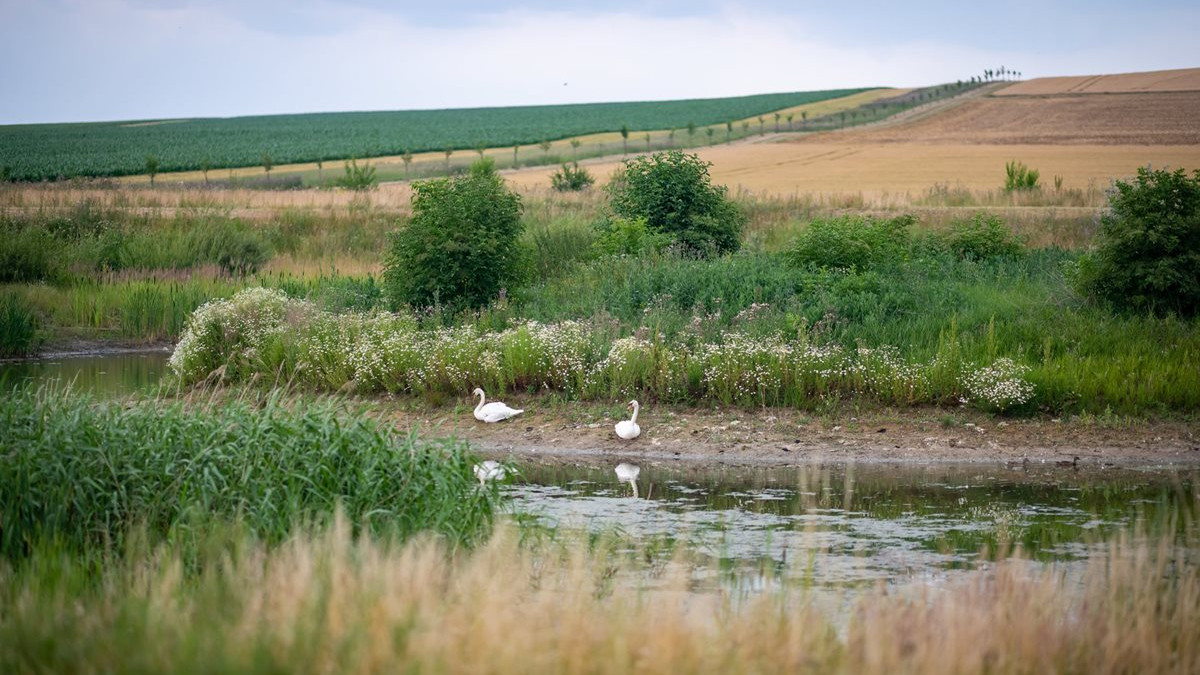 Zveme vás na exkurzi: Dobré příklady adaptace jihomoravských obcí na změnu klimatu