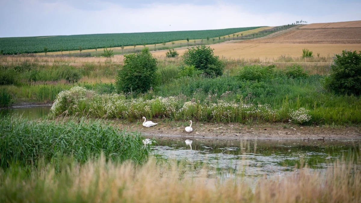 Zveme vás na exkurzi: Dobré příklady adaptace jihomoravských obcí na změnu klimatu