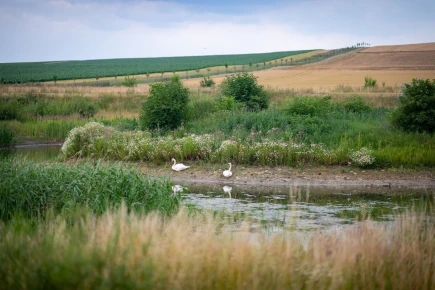 Zveme vás na exkurzi: Dobré příklady adaptace jihomoravských obcí na změnu klimatu