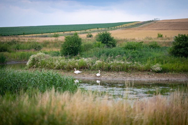 Zveme vás na exkurzi: Dobré příklady adaptace jihomoravských obcí na změnu klimatu