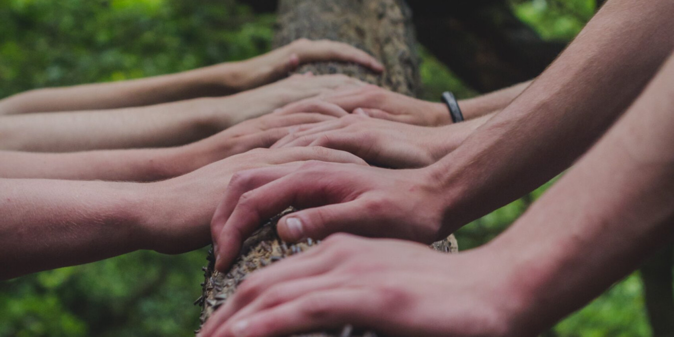 Nový výzkum radí, jak efektivně zapojit mladé lidi do řešení změny klimatu
