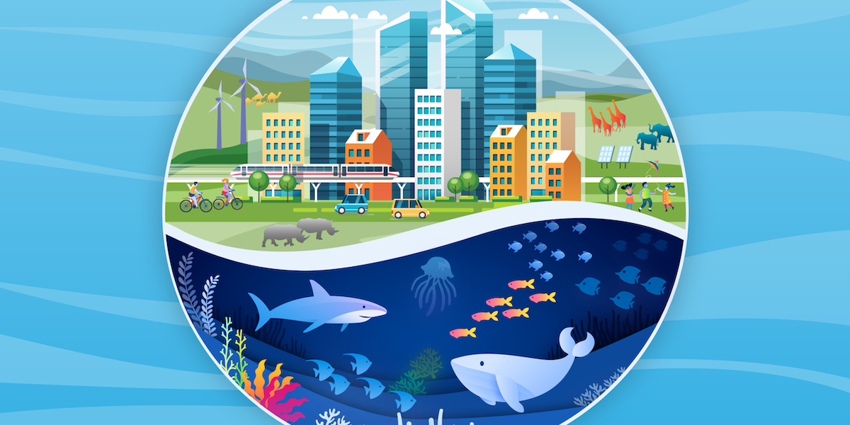 JAKUB ZELENÝ: COP 15 WILL RAISE THE ISSUE OF THE IMPORTANCE OF BIODIVERSITY FOR HUMANITY