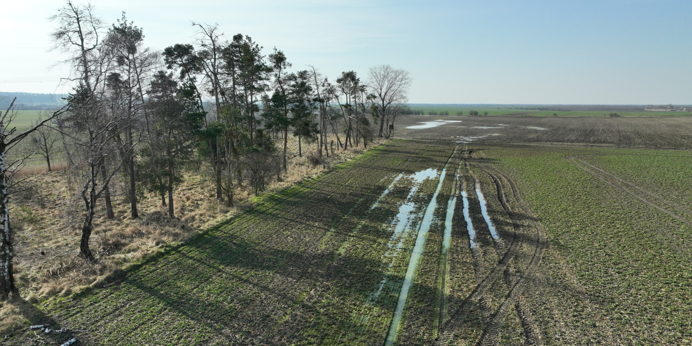 Project LIFE WILL help the Czech and Slovak landscapes to adapt to climate change
