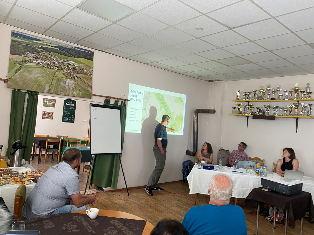 Meanders and Tree Alleys for a Heavily Farmed Landscape