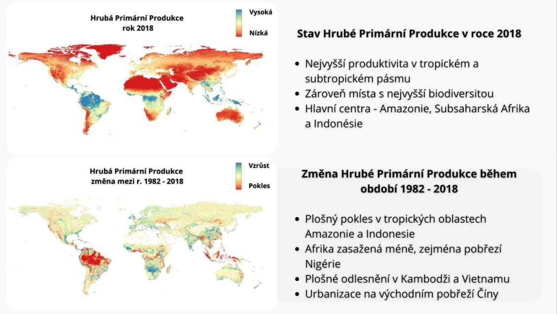 Mapa hrubé primární produkce vegetace. Horní mapa znázorňuje rozložení primární produktivity v roce 2018 a spodní mapa znázorňuje změnu primární produktivity mezi roky 1982 až 2018. Ačkoliv v mírném pásmu dochází k mírnému nárůstu produktivity, v tropickém pásmu produktivita prudce propadá. Zdroj dat: AVHRR (NASA).