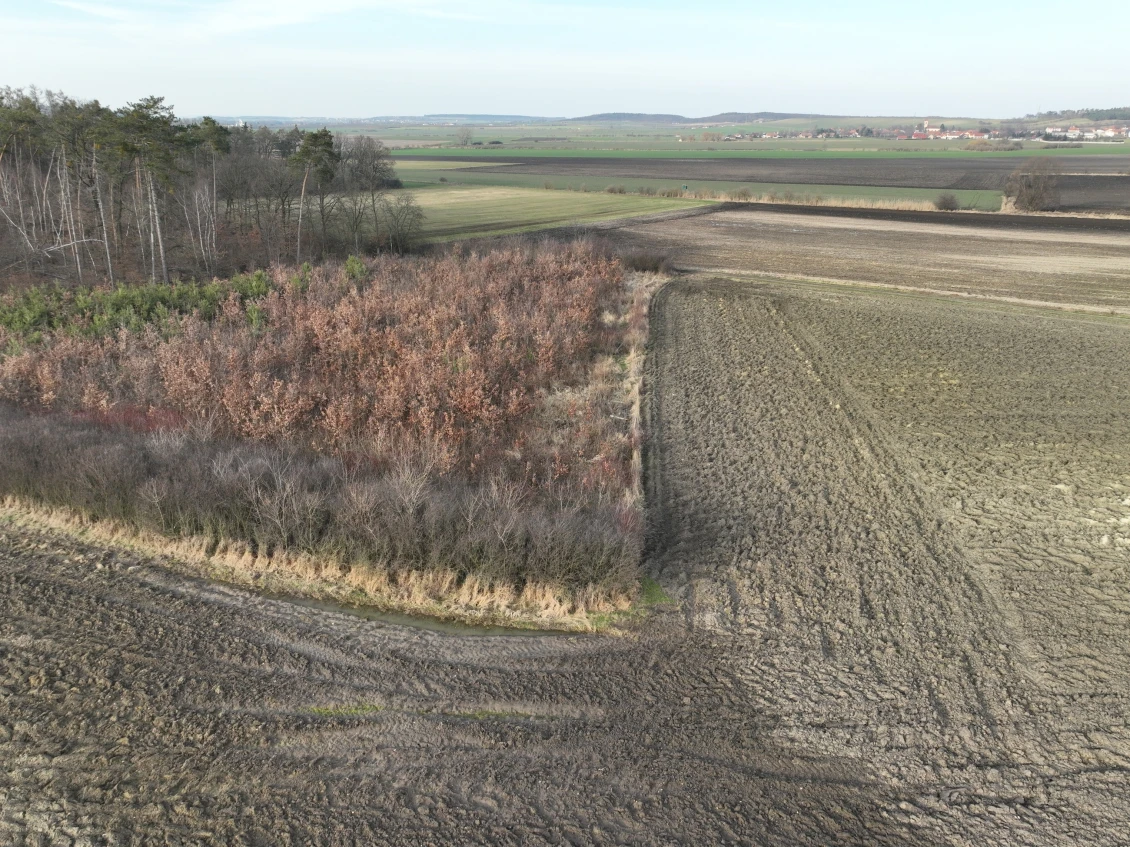 The landscape around Němčice is used heavily for agriculture.