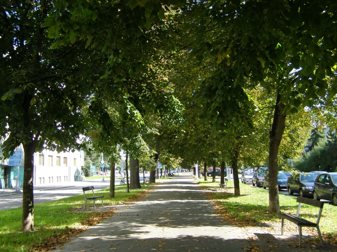 Connecting green spaces to green infrastructure across cities increases its positive effect.
