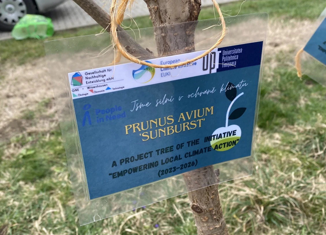 German cherry tree for the Moravian community. We launched the EUKI-ELCA project together with the German organisation GNE and the Polytechnic University of Timisoara.